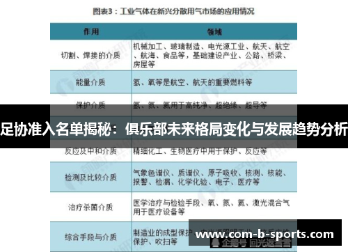 足协准入名单揭秘:俱乐部未来格局变化与发展趋势分析 足协准入名单揭秘:俱乐部未来格局变化与发展趋势分析