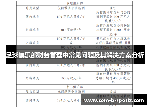 足球俱乐部财务管理中常见问题及其解决方案分析 足球俱乐部财务管理中常见问题及其解决方案分析