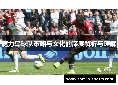 魔力鸟球队策略与文化的深度解析与理解